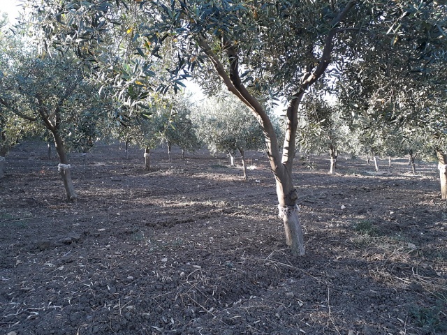 azienda3.jpg